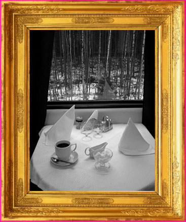 The Poetree: Gallery